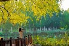 足球即时比分捷报-足球狂欢夜，即时比分捷报背后的热血与激情
